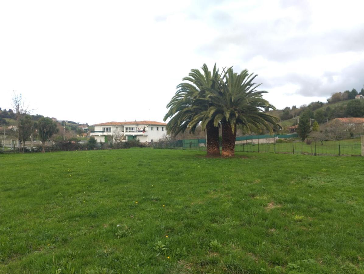 Las Palmeras Ξενοδοχείο Χιχόν Εξωτερικό φωτογραφία